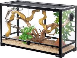 Bearded Dragon Tank Setup