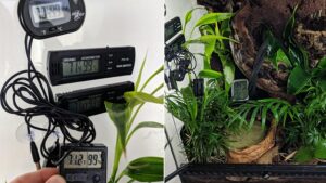 Where to place hygrometer in terrarium