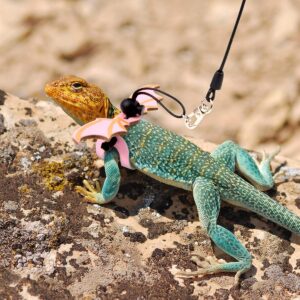 Bearded dragon harness with wings