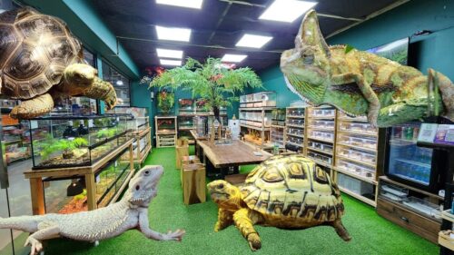 Reptile Stores in Riverside