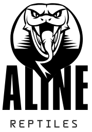 Alinereptiles