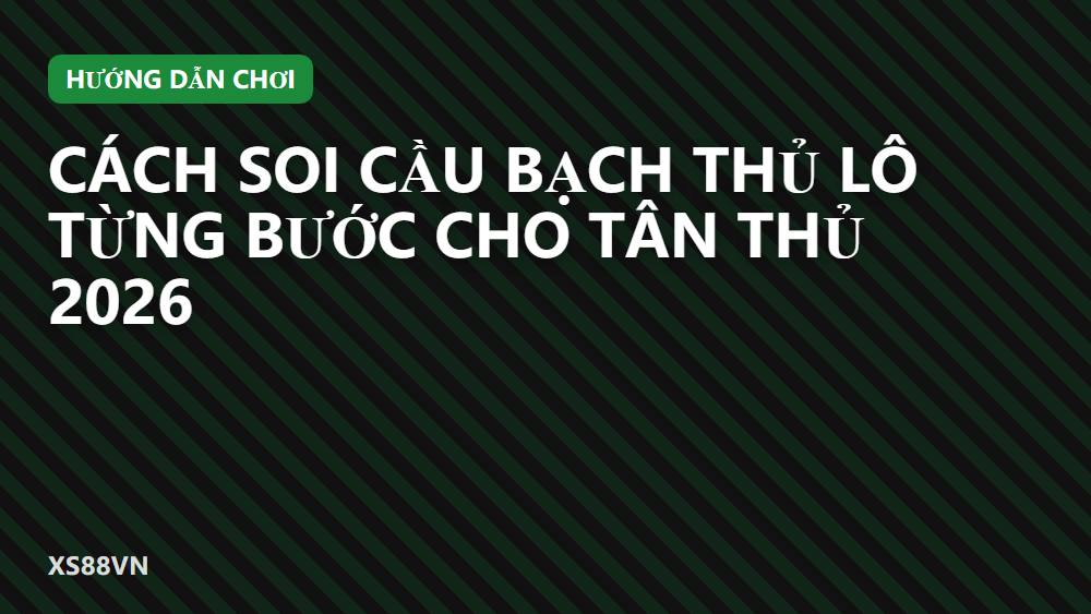 Cách Soi Cầu Bạch Thủ Lô Từng Bước Cho Tân Thủ 2026